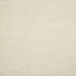 CANVAS 01