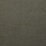 CANVAS 13