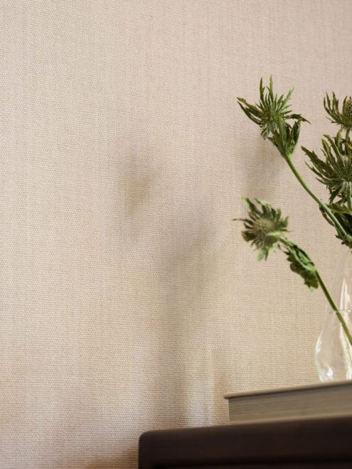 LIZZO_TEXTURES-I-18 lizzo_textures-i-18